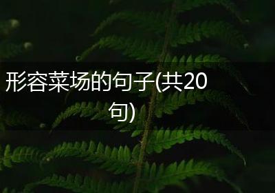 形容菜场的句子(共20句)