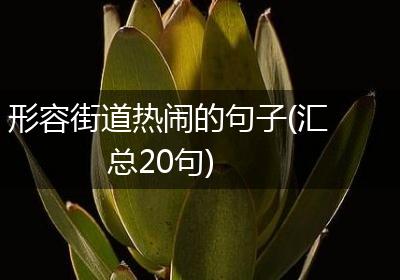形容街道热闹的句子(汇总20句)