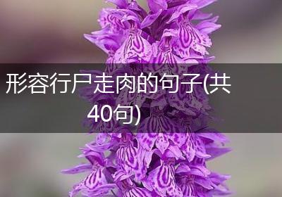 形容行尸走肉的句子(共40句)