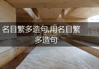 名目繁多造句,用名目繁多造句