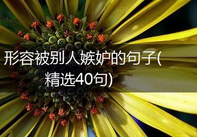 形容被别人嫉妒的句子(精选40句)