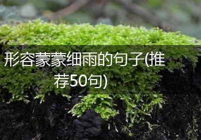 形容蒙蒙细雨的句子(推荐50句)