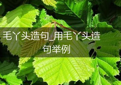 毛丫头造句_用毛丫头造句举例