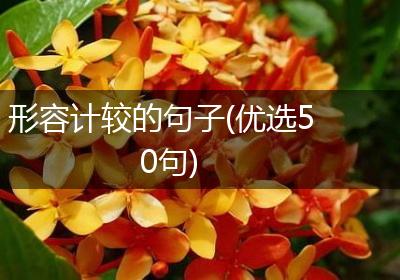 形容计较的句子(优选50句)