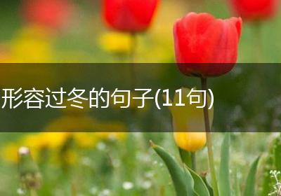 形容过冬的句子(11句)
