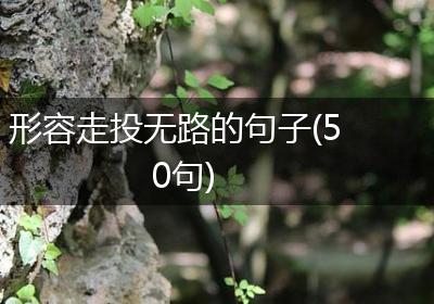 形容走投无路的句子(50句)