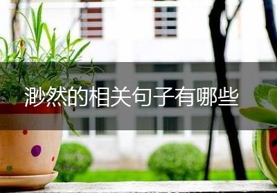 渺然的相关句子有哪些