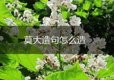 莫大造句怎么造