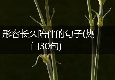 形容长久陪伴的句子(热门30句)