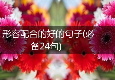 形容配合的好的句子(必备24句)