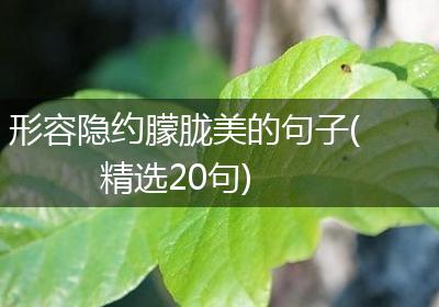 形容隐约朦胧美的句子(精选20句)