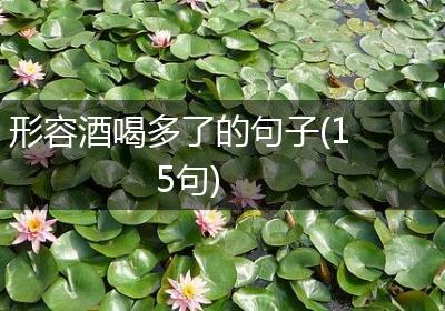 形容酒喝多了的句子(15句)