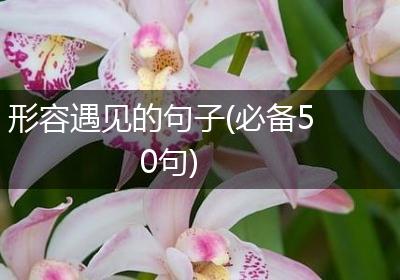 形容遇见的句子(必备50句)