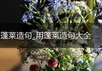 蓬莱造句_用蓬莱造句大全