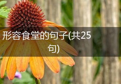 形容食堂的句子(共25句)