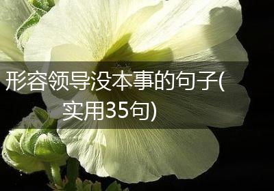 形容领导没本事的句子(实用35句)