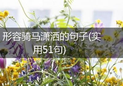 形容骑马潇洒的句子(实用51句)