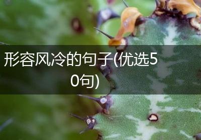 形容风冷的句子(优选50句)