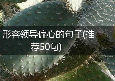形容领导偏心的句子(推荐50句)