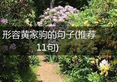 形容黄家驹的句子(推荐11句)