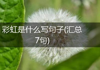 彩虹是什么写句子(汇总7句)