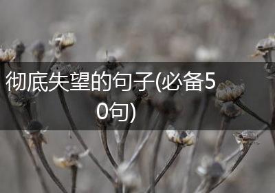 彻底失望的句子(必备50句)