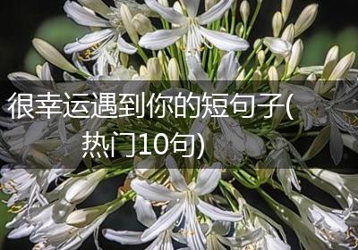 很幸运遇到你的短句子(热门10句)