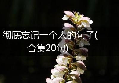 彻底忘记一个人的句子(合集20句)