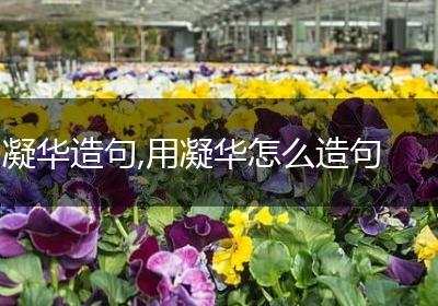 凝华造句,用凝华怎么造句