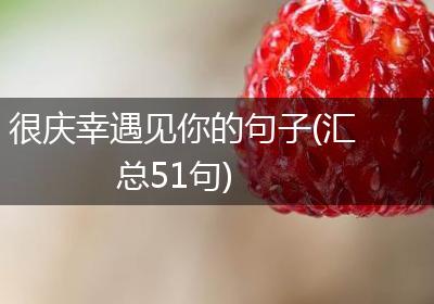 很庆幸遇见你的句子(汇总51句)