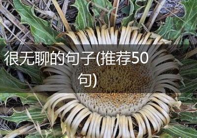 很无聊的句子(推荐50句)