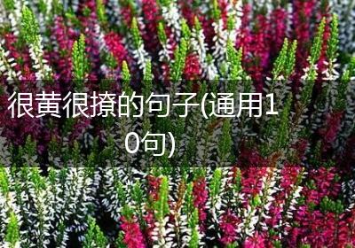 很黄很撩的句子(通用10句)