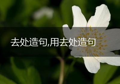 去处造句,用去处造句