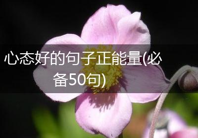 心态好的句子正能量(必备50句)