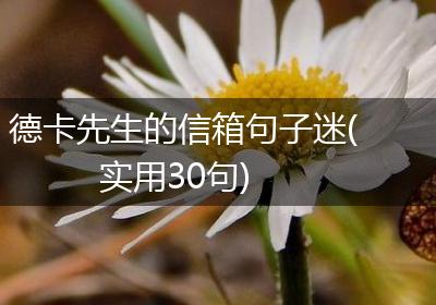 德卡先生的信箱句子迷(实用30句)