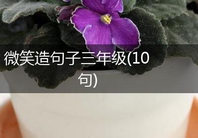 微笑造句子三年级(10句)
