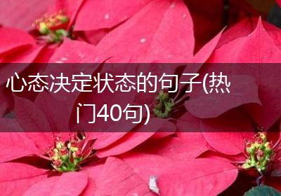 心态决定状态的句子(热门40句)