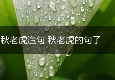 秋老虎造句 秋老虎的句子