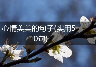 心情美美的句子(实用50句)