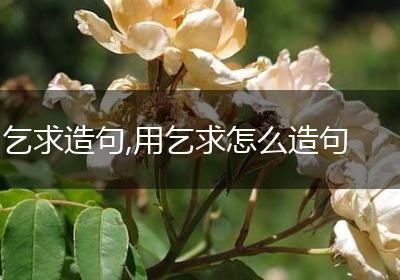 乞求造句,用乞求怎么造句