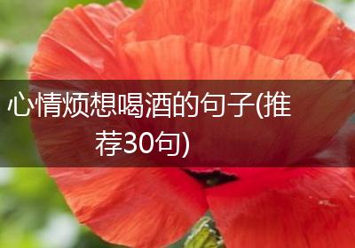 心情烦想喝酒的句子(推荐30句)
