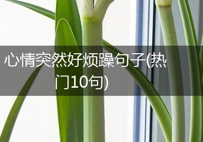 心情突然好烦躁句子(热门10句)