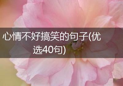 心情不好搞笑的句子(优选40句)