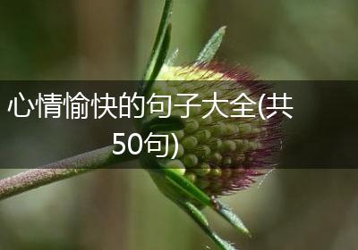 心情愉快的句子大全(共50句)