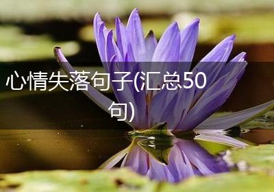 心情失落句子(汇总50句)