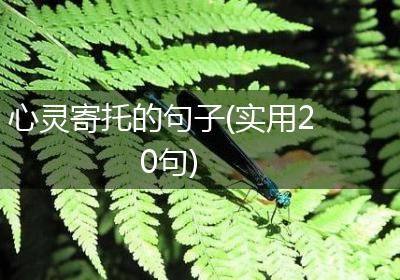 心灵寄托的句子(实用20句)