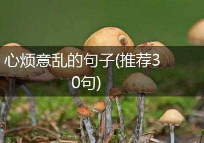 心烦意乱的句子(推荐30句)