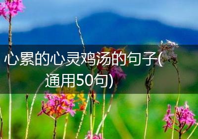 心累的心灵鸡汤的句子(通用50句)