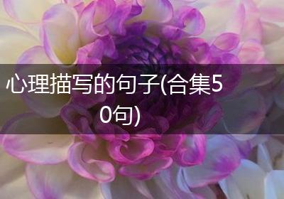 心理描写的句子(合集50句)