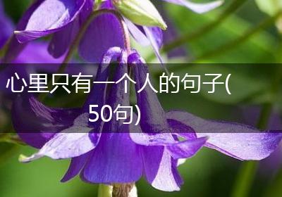 心里只有一个人的句子(50句)
